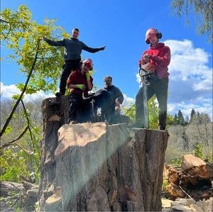 Meet your Posher, Dylan